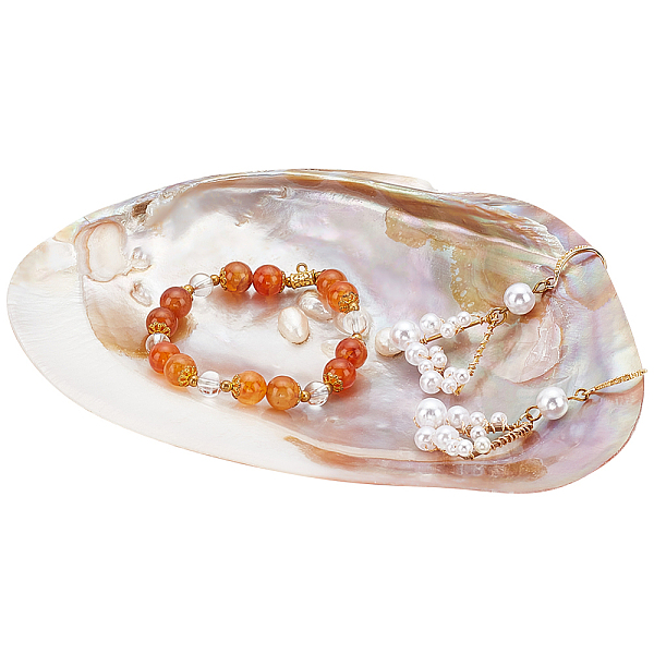 PandaHall Natural Shell Ring Holder, Jewelry Tray, for Holding Small Jewelries, Rings, Necklaces, Earrings, Bracelets, Trinket, for Women...
PandaHall Natural Shell Ring Holder, Jewelry Tray, for Holding Small Jewelries, Rings, Necklaces, Earrings, Bracelets, Trinket, for Women...