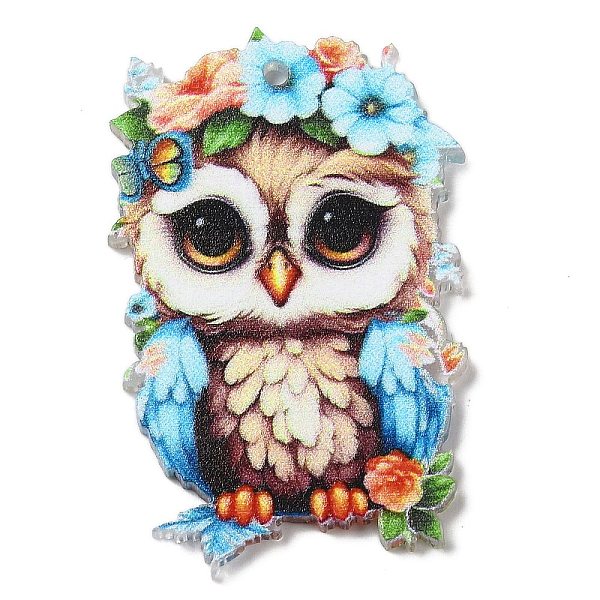PandaHall Acrylic Pendants, Owl, Colorful, 40.5x26x2mm, Hole: 1.6mm Acrylic Bird Multicolor
PandaHall Acrylic Pendants, Owl, Colorful, 40.5x26x2mm, Hole: 1.6mm Acrylic Bird Multicolor