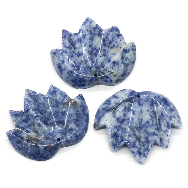 PandaHall Natural Blue Spot Jasper Autumn Maple Leaf Pendants, Leaf Charms, 43x47~53x7mm, Hole: 2mm Blue Spot Jasper Leaf
PandaHall Natural Blue Spot Jasper Autumn Maple Leaf Pendants, Leaf Charms, 43x47~53x7mm, Hole: 2mm Blue Spot Jasper Leaf