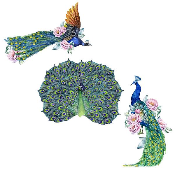 PandaHall SUPERDANT Peacock Wall Decals Colorful Floral Wall Stickers Animals Wall Decals Vinyl DIY Wall Art Decor Flower Art Stickers for...
PandaHall SUPERDANT Peacock Wall Decals Colorful Floral Wall Stickers Animals Wall Decals Vinyl DIY Wall Art Decor Flower Art Stickers for...