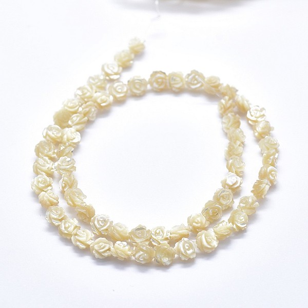 PandaHall Shell Bead Strands, Double-sided Rose, Blanched Almond, 8~8.5x4~5mm, Hole: 0.8mm, about 50pcs/strand, 15.15 inch(38.5cm) Other Sea..., Orange
PandaHall Shell Bead Strands, Double-sided Rose, Blanched Almond, 8~8.5x4~5mm, Hole: 0.8mm, about 50pcs/strand, 15.15 inch(38.5cm) Other Sea..., Orange