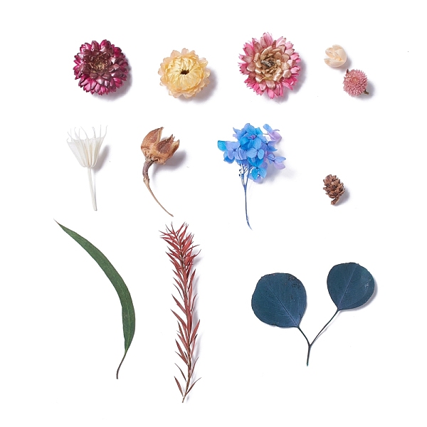 PandaHall Dried Flowers, DIY Candle Soap Making Accessories, with Plastic Rectangle Box, Mixed Color, 1.4~19x0.9~4.5cm Dried Flower..., Multicolor
PandaHall Dried Flowers, DIY Candle Soap Making Accessories, with Plastic Rectangle Box, Mixed Color, 1.4~19x0.9~4.5cm Dried Flower..., Multicolor