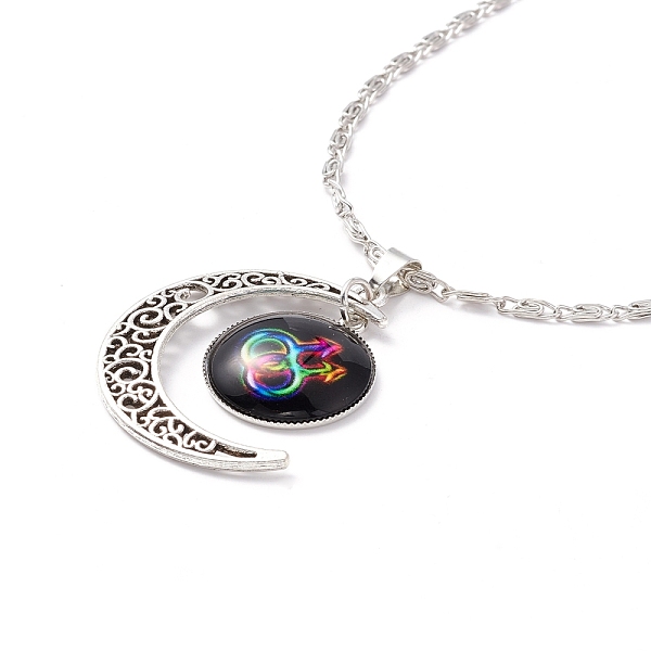 PandaHall Rainbow Pride Necklace, Flat Round with Pattern & Moon Pendant Necklace for Men Women, Antique Silver & Platinum, Gender Symbol..., Black
PandaHall Rainbow Pride Necklace, Flat Round with Pattern & Moon Pendant Necklace for Men Women, Antique Silver & Platinum, Gender Symbol..., Black