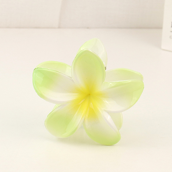 PandaHall Plastic Claw Hair Clip, Plumeria Hair Accessories for Girls Women, Flower, Green Yellow, 83x40mm Plastic
PandaHall Plastic Claw Hair Clip, Plumeria Hair Accessories for Girls Women, Flower, Green Yellow, 83x40mm Plastic