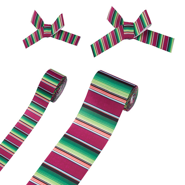 PandaHall 2Rolls 2 Styles Stripe Pattern Printed Polyester Grosgrain Ribbon, for DIY Bowknot Accessories, Colorful, 1roll/style Polyester...
PandaHall 2Rolls 2 Styles Stripe Pattern Printed Polyester Grosgrain Ribbon, for DIY Bowknot Accessories, Colorful, 1roll/style Polyester...