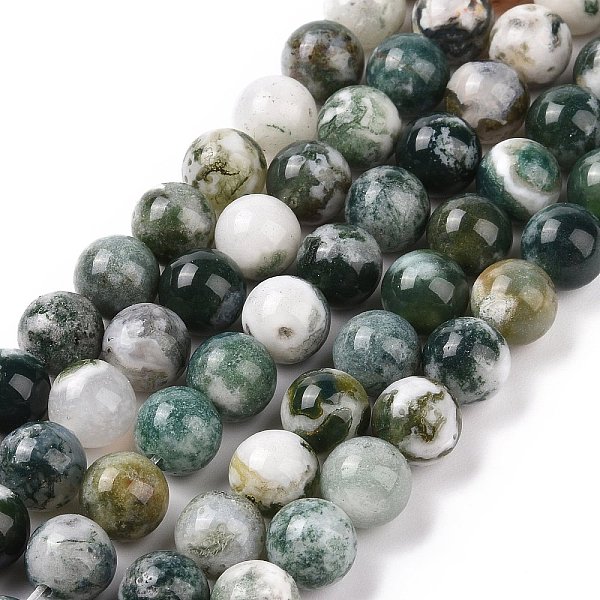 PandaHall Natural Tree Agate Beads Strands, Round, 6mm, Hole: 1mm, about 62pcs/strand, 15.3 inch(39cm) Tree Agate Round
PandaHall Natural Tree Agate Beads Strands, Round, 6mm, Hole: 1mm, about 62pcs/strand, 15.3 inch(39cm) Tree Agate Round