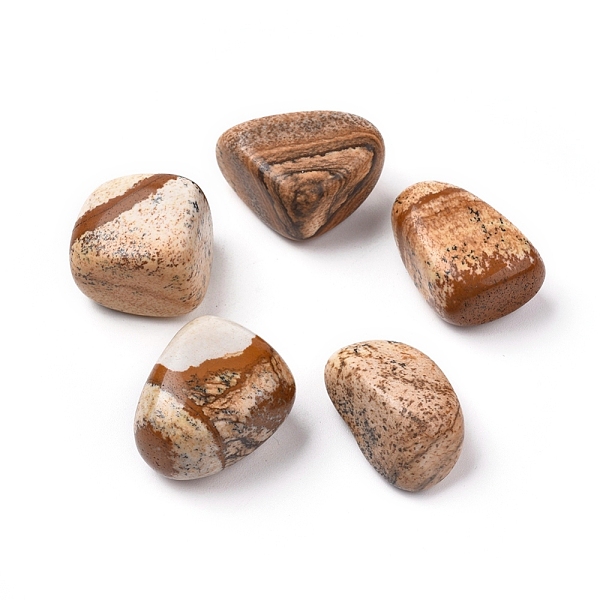 PandaHall Natural Picture Jasper Beads, Healing Stones, for Energy Balancing Meditation Therapy, Tumbled Stone, Vase Filler Gems, No...
PandaHall Natural Picture Jasper Beads, Healing Stones, for Energy Balancing Meditation Therapy, Tumbled Stone, Vase Filler Gems, No...