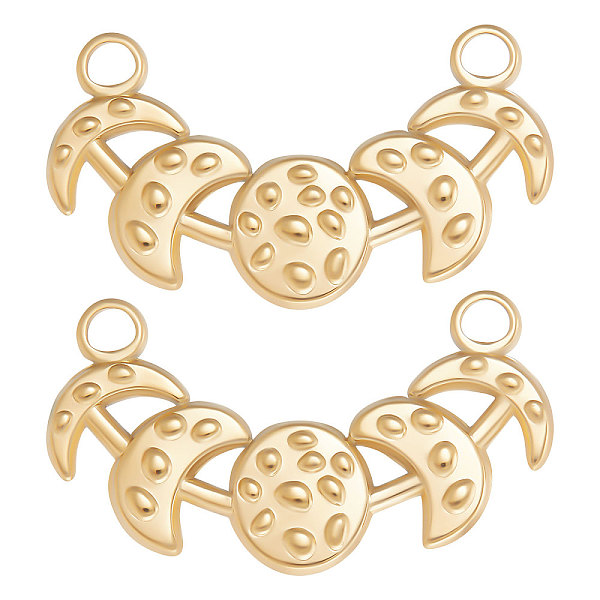 PandaHall Beebeecraft 10Pcs Ion Plating(IP) 304 Stainless Steel Pendants, Moon Phase Charms, Real 18K Gold Plated, 16.5x29.5x2mm, Hole...
PandaHall Beebeecraft 10Pcs Ion Plating(IP) 304 Stainless Steel Pendants, Moon Phase Charms, Real 18K Gold Plated, 16.5x29.5x2mm, Hole...