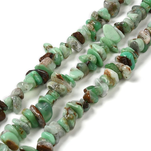 PandaHall Natural Chrysoprase Beads Strands, Chip, 7~18x7~9.5x2~6.5mm, Hole: 0.9mm, 15.55~15.75 inch(39.5~40cm) Chrysoprase Chip
PandaHall Natural Chrysoprase Beads Strands, Chip, 7~18x7~9.5x2~6.5mm, Hole: 0.9mm, 15.55~15.75 inch(39.5~40cm) Chrysoprase Chip