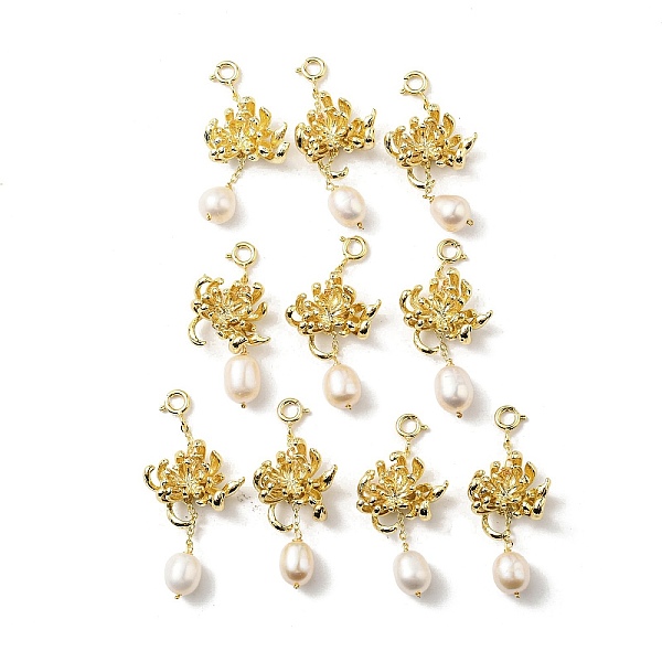 PandaHall Natural Freshwater Pearl Pendant Decorations, Chrysanthemum Flower Brass Ornament with Spring Ring Clasps, Real 14K Gold Plated...
PandaHall Natural Freshwater Pearl Pendant Decorations, Chrysanthemum Flower Brass Ornament with Spring Ring Clasps, Real 14K Gold Plated...