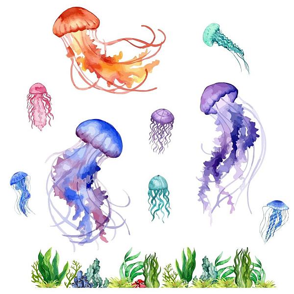 PandaHall PVC Wall Stickers, Wall Decoration, Jellyfish Pattern, 390x900mm, 2pcs/set PVC Jellyfish
PandaHall PVC Wall Stickers, Wall Decoration, Jellyfish Pattern, 390x900mm, 2pcs/set PVC Jellyfish