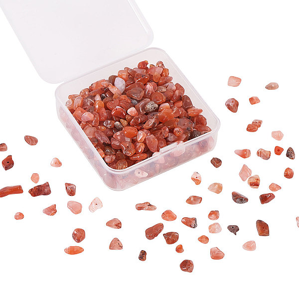 PandaHall Natural Red Agate Beads, Dyed & Heated, Chips, 5~8mm, hole: 1mm Red Agate Chip
PandaHall Natural Red Agate Beads, Dyed & Heated, Chips, 5~8mm, hole: 1mm Red Agate Chip