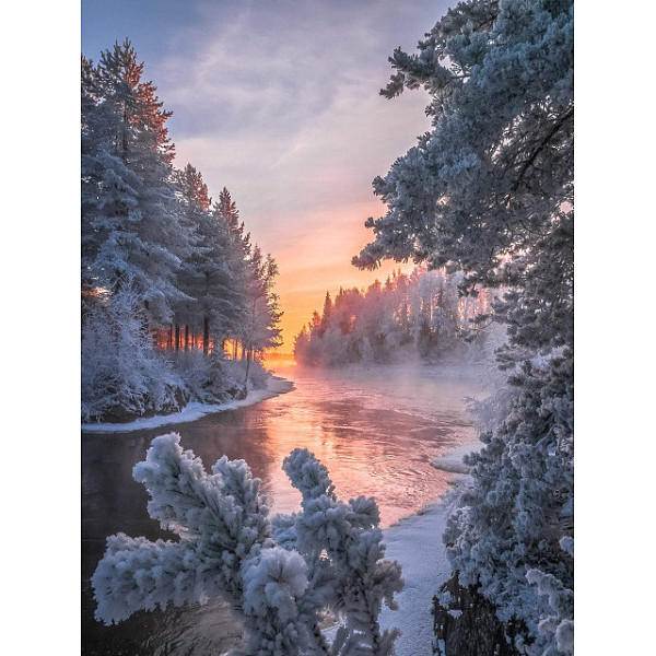 PandaHall DIY Rectangle Forest Snow Scenery Theme Diamond Painting Kits, Including Canvas, Resin Rhinestones, Diamond Sticky Pen, Tray Plate..., White
PandaHall DIY Rectangle Forest Snow Scenery Theme Diamond Painting Kits, Including Canvas, Resin Rhinestones, Diamond Sticky Pen, Tray Plate..., White