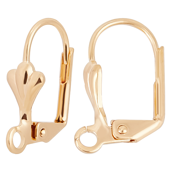 PandaHall Beebeecraft 1 Box 50Pcs Leverback Earring Findings 18K Gold Plated French Earring Hooks 16x11mm Leaf Pattern Interchangeable...
PandaHall Beebeecraft 1 Box 50Pcs Leverback Earring Findings 18K Gold Plated French Earring Hooks 16x11mm Leaf Pattern Interchangeable...