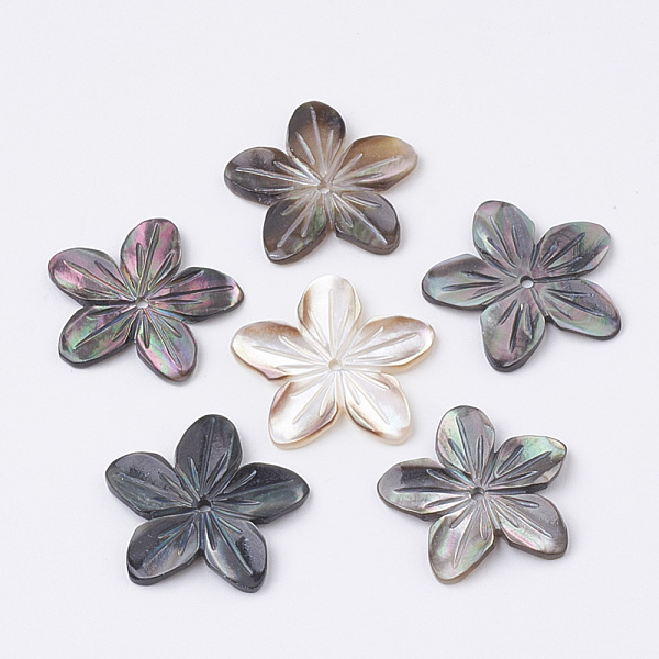 PandaHall Natural Black Lip Shell Beads, Flower, 18~20x18~21x2mm, Hole: 1mm Black Lip Shell Flower
PandaHall Natural Black Lip Shell Beads, Flower, 18~20x18~21x2mm, Hole: 1mm Black Lip Shell Flower