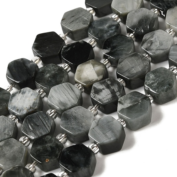 PandaHall Natural Eagle Eye Stone Beads Strands, Hexagon, with Seed Beads, 8.5~9x8.5~10x4~5mm, Hole: 1mm, about 17~18pcs/strand, 7.48''...
PandaHall Natural Eagle Eye Stone Beads Strands, Hexagon, with Seed Beads, 8.5~9x8.5~10x4~5mm, Hole: 1mm, about 17~18pcs/strand, 7.48''...