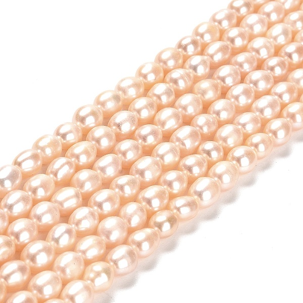 PandaHall Natural Cultured Freshwater Pearl Beads Strands, Rice, Grade 2A, PeachPuff, 6~7x5~6mm, Hole: 0.5mm, about 54pcs/strand, 14.17 inch..., Brown
PandaHall Natural Cultured Freshwater Pearl Beads Strands, Rice, Grade 2A, PeachPuff, 6~7x5~6mm, Hole: 0.5mm, about 54pcs/strand, 14.17 inch..., Brown