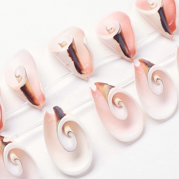 PandaHall Natural Shell Beads Strands, 18~44x17~23x10~14mm, Hole: 1mm, about 16pcs/strand, 15.5 inch~16.1 inch(39.5~41.5cm) Freshwater Shell...
PandaHall Natural Shell Beads Strands, 18~44x17~23x10~14mm, Hole: 1mm, about 16pcs/strand, 15.5 inch~16.1 inch(39.5~41.5cm) Freshwater Shell...