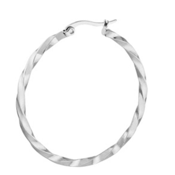 PandaHall Titanium Steel Hoop Earrings, Twisted Ring Shape, Stainless Steel Color, 12 Gauge, 20x2mm Titanium Steel Ring
PandaHall Titanium Steel Hoop Earrings, Twisted Ring Shape, Stainless Steel Color, 12 Gauge, 20x2mm Titanium Steel Ring