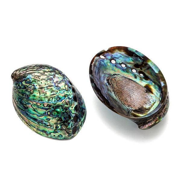 PandaHall Natural Abalone Shell/Paua ShellDecoration, Shell, Colorful, 120~140x90~100x20mm Shell Shell Shape
PandaHall Natural Abalone Shell/Paua ShellDecoration, Shell, Colorful, 120~140x90~100x20mm Shell Shell Shape