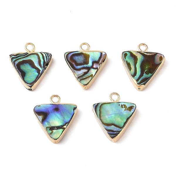 PandaHall Natural Paua Shell Pendants, Triangle Charms with Brass Edge, Golden, 17x14.5x3.5mm, Hole: 1.8mm Paua Shell Triangle
PandaHall Natural Paua Shell Pendants, Triangle Charms with Brass Edge, Golden, 17x14.5x3.5mm, Hole: 1.8mm Paua Shell Triangle