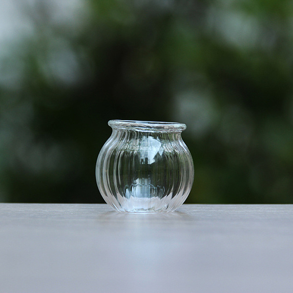 PandaHall Mini Glass Pot, Micro Landscape Dollhouse Accessories, Pretending Prop Decorations, Clear, 25x25mm Glass Others Clear
PandaHall Mini Glass Pot, Micro Landscape Dollhouse Accessories, Pretending Prop Decorations, Clear, 25x25mm Glass Others Clear