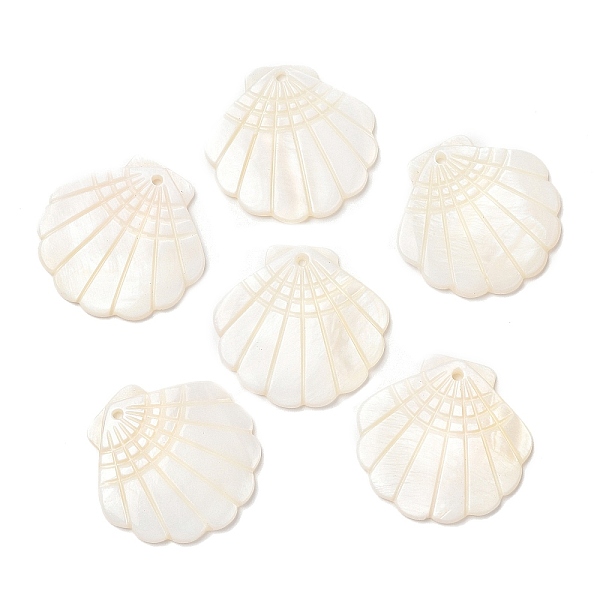 PandaHall Natural Freshwater Shell Pendants, Shell Shaped Charms, Seashell Color, 28.5x29.5x2mm, Hole: 1.6mm Freshwater Shell Shell Shape
PandaHall Natural Freshwater Shell Pendants, Shell Shaped Charms, Seashell Color, 28.5x29.5x2mm, Hole: 1.6mm Freshwater Shell Shell Shape