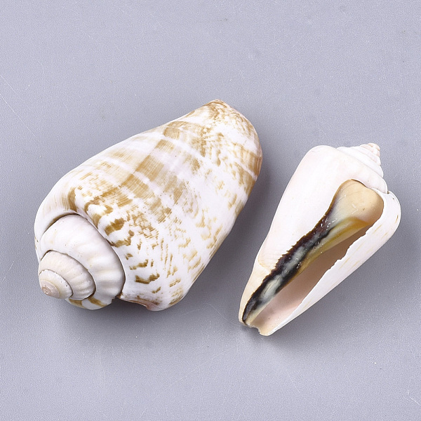 PandaHall Natural Spiral Shell Red Lip Shell Beads, Undrilled/No Hole Beads, Lavender Blush, 40~54x20~28x18~25mm Spiral Shell Others Pink
PandaHall Natural Spiral Shell Red Lip Shell Beads, Undrilled/No Hole Beads, Lavender Blush, 40~54x20~28x18~25mm Spiral Shell Others Pink