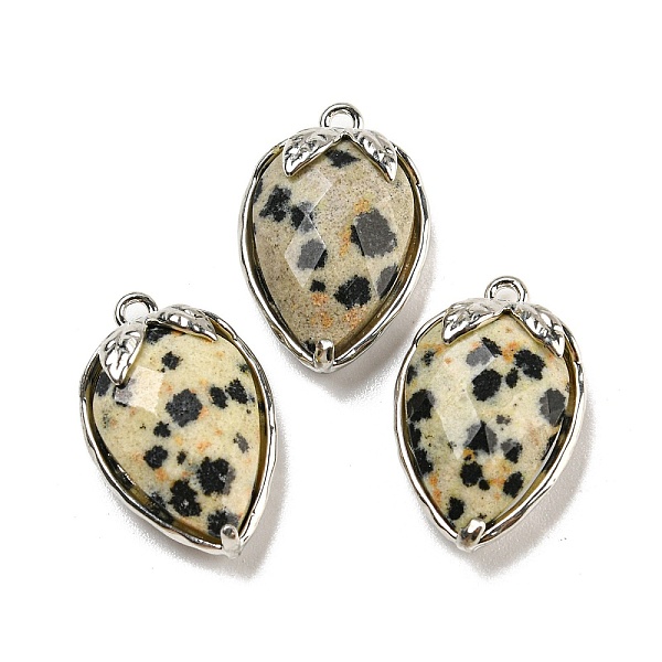 PandaHall Natural Dalmatian Jasper Faceted Pendants, Rack Plating Brass Strawberry Charms, Platinum, 18x11x5~5.5mm, Hole: 1.2mm Dalmatian...
PandaHall Natural Dalmatian Jasper Faceted Pendants, Rack Plating Brass Strawberry Charms, Platinum, 18x11x5~5.5mm, Hole: 1.2mm Dalmatian...