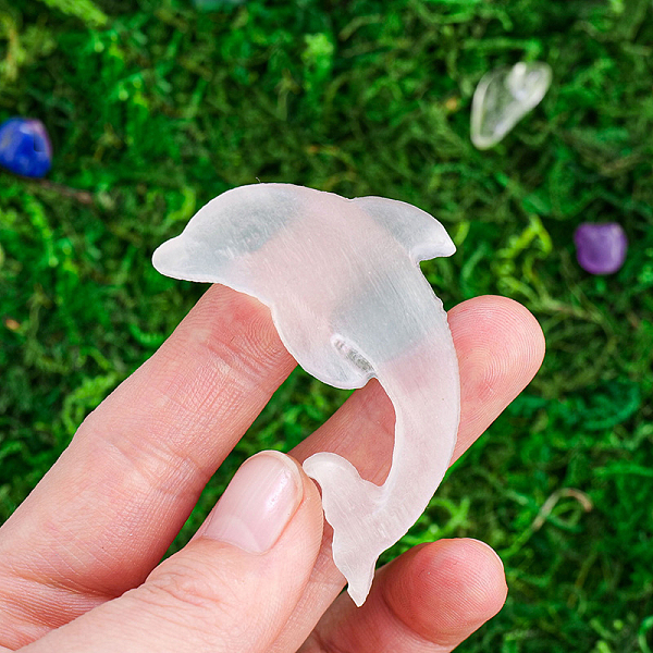 PandaHall Natural Quartz Crystal Display Decorations, for Home Office Desk, Dolphin, 55mm Quartz Crystal Dolphin
PandaHall Natural Quartz Crystal Display Decorations, for Home Office Desk, Dolphin, 55mm Quartz Crystal Dolphin