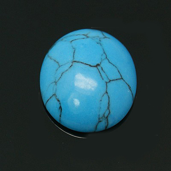 PandaHall Oval Synthetic Turquoise Cabochons, Dyed, 14x10x4.5mm Synthetic Turquoise Oval
PandaHall Oval Synthetic Turquoise Cabochons, Dyed, 14x10x4.5mm Synthetic Turquoise Oval