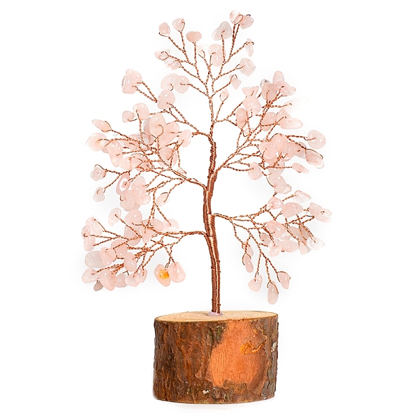 PandaHall Natural Rose Quartz Chips Tree of Life Decorations, Column Wood Base with Copper Wire Feng Shui Energy Stone Gift for Home Office...
PandaHall Natural Rose Quartz Chips Tree of Life Decorations, Column Wood Base with Copper Wire Feng Shui Energy Stone Gift for Home Office...