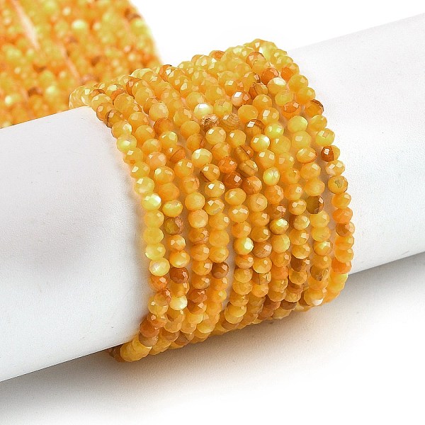PandaHall Natural Yellow Shell Beads Strands, Faceted, Round, Orange, 2~2.5mm, Hole: 0.5mm, about 215pcs/strand, 16.02 inch(40.7cm) Yellow...
PandaHall Natural Yellow Shell Beads Strands, Faceted, Round, Orange, 2~2.5mm, Hole: 0.5mm, about 215pcs/strand, 16.02 inch(40.7cm) Yellow...
