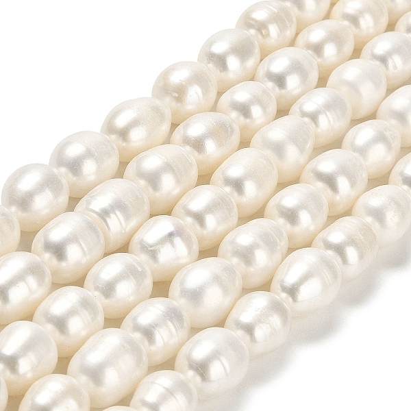 PandaHall Natural Cultured Freshwater Pearl Beads Strands, Rice, Grade A, Floral White, 10.5~12x9.5~10mm, Hole: 0.6mm, about 31~34pcs/strand...
PandaHall Natural Cultured Freshwater Pearl Beads Strands, Rice, Grade A, Floral White, 10.5~12x9.5~10mm, Hole: 0.6mm, about 31~34pcs/strand...