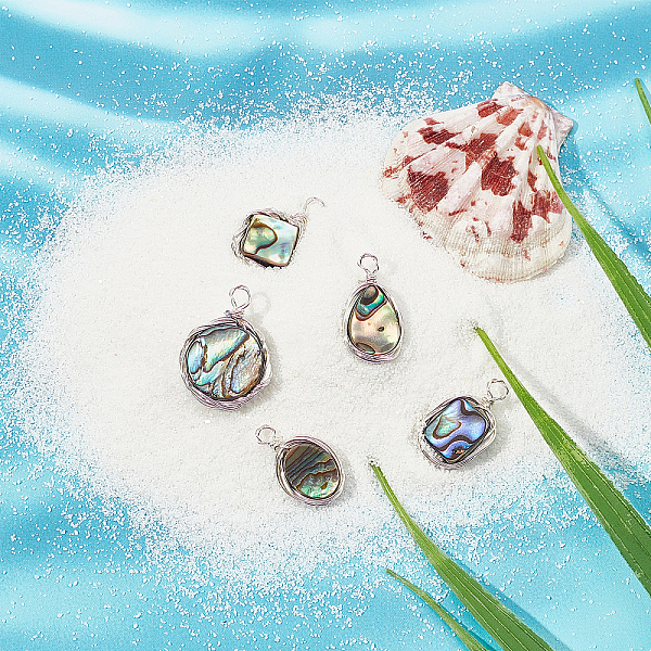 PandaHall SUPERFINDINGS Natural Abalone Shell/Paua Shell Pendants, with Eco-Friendly Copper Wire Wrapped, Mixed Shapes, Platinum, 20pcs/box...
PandaHall SUPERFINDINGS Natural Abalone Shell/Paua Shell Pendants, with Eco-Friendly Copper Wire Wrapped, Mixed Shapes, Platinum, 20pcs/box...