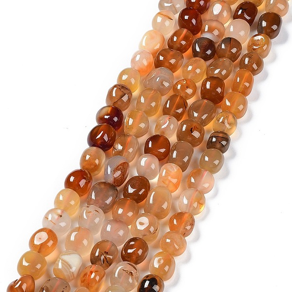 PandaHall Natural Red Agate Beads Strands, Dyed & Heated, Nuggets Tumbled Stone, 6.5~15x7~14x7~14mm, Hole: 1~1.4mm, about 32~33pcs/strand...
PandaHall Natural Red Agate Beads Strands, Dyed & Heated, Nuggets Tumbled Stone, 6.5~15x7~14x7~14mm, Hole: 1~1.4mm, about 32~33pcs/strand...