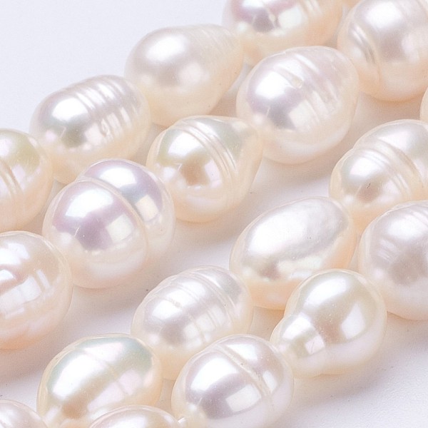 PandaHall Natural Cultured Freshwater Pearl Beads Strands, Rice, Seashell Color, 9~11x8~9mm, Hole: 0.5mm, about 35~36pcs/strand, 14 inch...
PandaHall Natural Cultured Freshwater Pearl Beads Strands, Rice, Seashell Color, 9~11x8~9mm, Hole: 0.5mm, about 35~36pcs/strand, 14 inch...