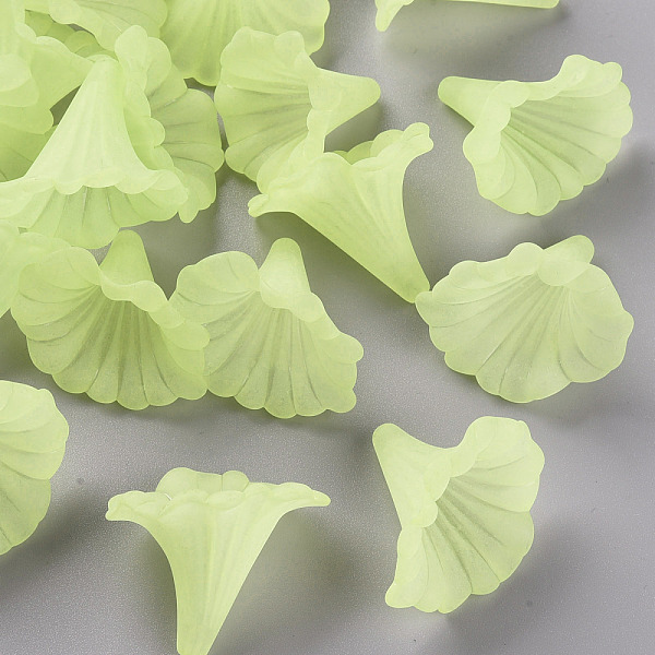 PandaHall Transparent Acrylic Beads, Calla Lily, Frosted, Green Yellow, 40.5x33x35mm, Hole: 1.8mm, about 135pcs/500g Acrylic Flower Green
PandaHall Transparent Acrylic Beads, Calla Lily, Frosted, Green Yellow, 40.5x33x35mm, Hole: 1.8mm, about 135pcs/500g Acrylic Flower Green