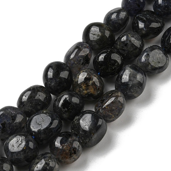 PandaHall Natural Iolite Beads Strands, Nuggets Tumbled Stone, 10~14x9~10x8~9mm, Hole: 1mm, about 35~36pcs/strand, 15.63''~15.79''...
PandaHall Natural Iolite Beads Strands, Nuggets Tumbled Stone, 10~14x9~10x8~9mm, Hole: 1mm, about 35~36pcs/strand, 15.63''~15.79''...