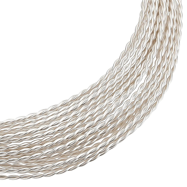 PandaHall BENECREAT 20 Gauge Tarnish Resistant Brass Craft Wire, 15Ft Sliver Round Twist Jewelry Wire for Necklace Bracelet Making and Other...
PandaHall BENECREAT 20 Gauge Tarnish Resistant Brass Craft Wire, 15Ft Sliver Round Twist Jewelry Wire for Necklace Bracelet Making and Other...