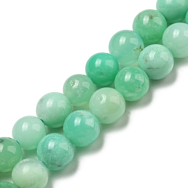 PandaHall Grade AA Natural Chrysoprase Beads Strands, Round, 6mm, Hole: 0.8mm, about 60pcs/strand, 15.16~15.28''(38.5~38.8cm) Chrysoprase...
PandaHall Grade AA Natural Chrysoprase Beads Strands, Round, 6mm, Hole: 0.8mm, about 60pcs/strand, 15.16~15.28''(38.5~38.8cm) Chrysoprase...