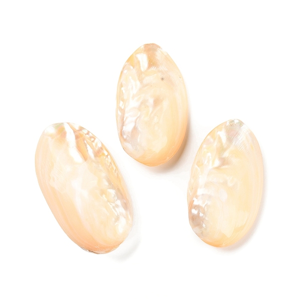PandaHall Natural Freshwater Shell Home Display Decorations, Oval Shell Ornament for Home Decoration, PapayaWhip, 75~85x43.5~45.5x23~27mm..., Orange
PandaHall Natural Freshwater Shell Home Display Decorations, Oval Shell Ornament for Home Decoration, PapayaWhip, 75~85x43.5~45.5x23~27mm..., Orange