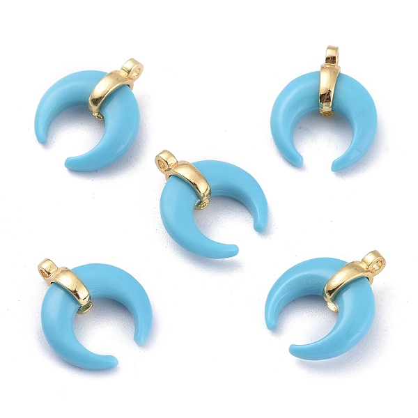 PandaHall Synthetic Turquoise Pendants, with Golden Plated Brass Findings, Double Horn/Crescent Moon, 16x13x5.5mm, Hole: 1.5mm Synthetic...
PandaHall Synthetic Turquoise Pendants, with Golden Plated Brass Findings, Double Horn/Crescent Moon, 16x13x5.5mm, Hole: 1.5mm Synthetic...