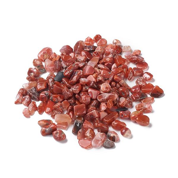 PandaHall Natural South Red Agate Beads, No Hole/Undrilled, Nuggets, Tumbled Stone, Vase Filler Gems, 7~16x6~8x2~6mm, about 1428pcs/1000g...
PandaHall Natural South Red Agate Beads, No Hole/Undrilled, Nuggets, Tumbled Stone, Vase Filler Gems, 7~16x6~8x2~6mm, about 1428pcs/1000g...