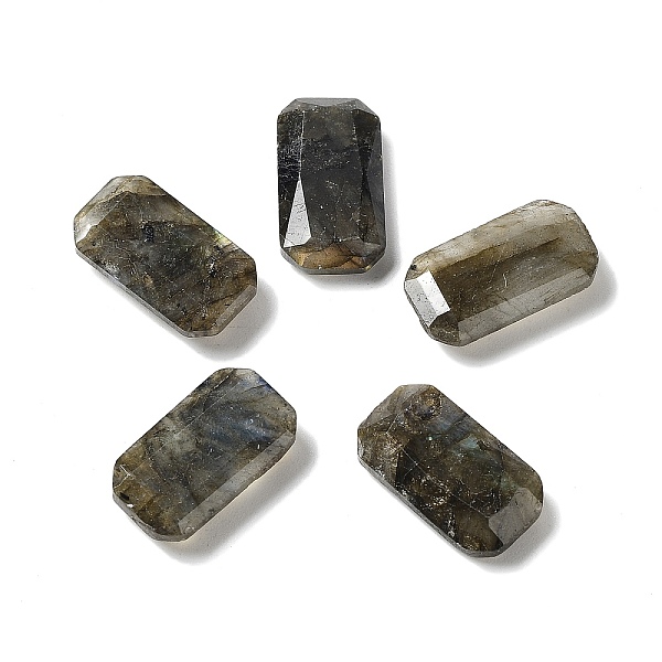 PandaHall Natural Labradorite Cabochons, Faceted Rectangle, 15x8x4mm Labradorite Rectangle
PandaHall Natural Labradorite Cabochons, Faceted Rectangle, 15x8x4mm Labradorite Rectangle
