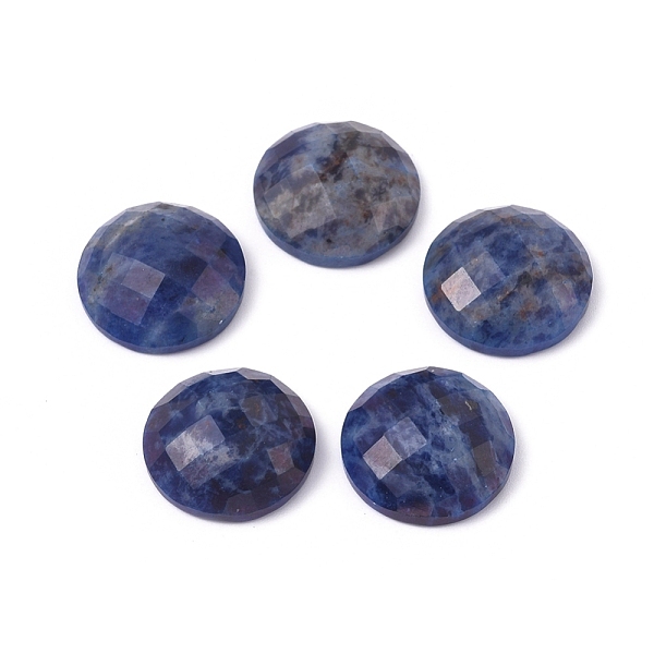 PandaHall Natural Sodalite Cabochons, Half Round, Faceted, 15.5x5.5mm Sodalite Half Round
PandaHall Natural Sodalite Cabochons, Half Round, Faceted, 15.5x5.5mm Sodalite Half Round