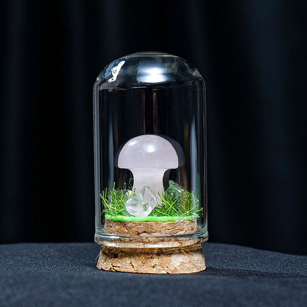 PandaHall Glass Dome Cover with Natural Rose Quartz Mushroom Inside, Cloche Bell Jar Terrarium with Cork Base, Micro Landscape Garden...
PandaHall Glass Dome Cover with Natural Rose Quartz Mushroom Inside, Cloche Bell Jar Terrarium with Cork Base, Micro Landscape Garden...