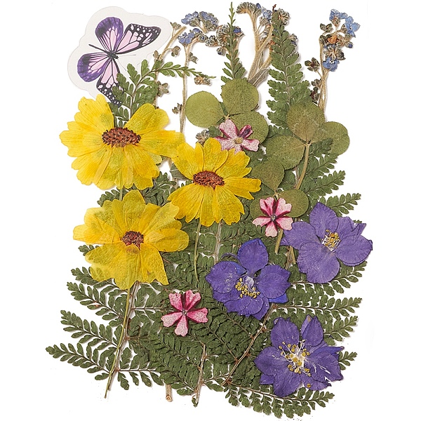 PandaHall Pressed Dried Flowers, for Cellphone, Photo Frame, Scrapbooking DIY and Resin Art Floral Decors, 137x100x0.3mm Dried Flower Flower..., Yellow
PandaHall Pressed Dried Flowers, for Cellphone, Photo Frame, Scrapbooking DIY and Resin Art Floral Decors, 137x100x0.3mm Dried Flower Flower..., Yellow