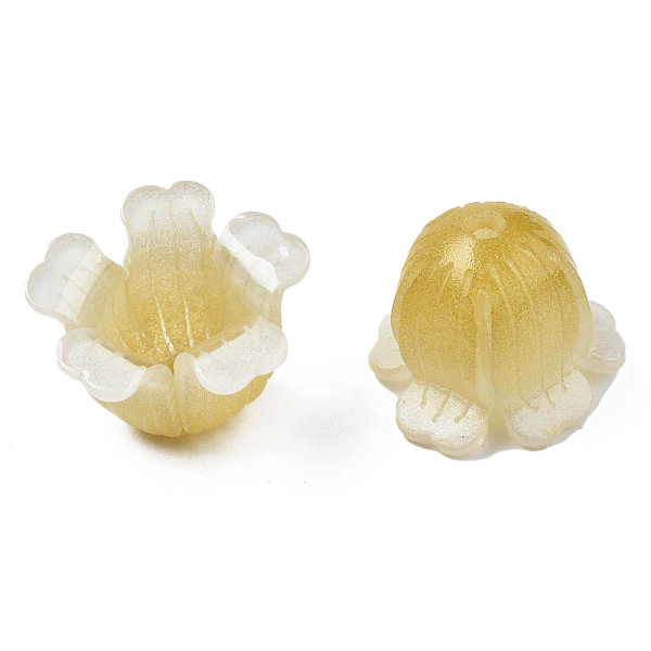 PandaHall Plastic Beads, Flower, Goldenrod, 15x13~15x11~12mm, Hole: 1.2mm Plastic Flower Gold
PandaHall Plastic Beads, Flower, Goldenrod, 15x13~15x11~12mm, Hole: 1.2mm Plastic Flower Gold