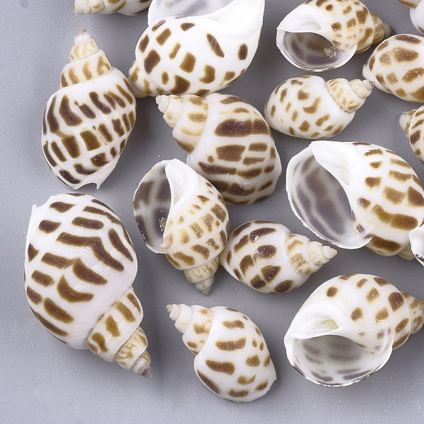PandaHall Spiral Shell Beads, Undrilled/No Hole Beads, Camel, 22~40x15~22x12~20mm Spiral Shell Others Brown
PandaHall Spiral Shell Beads, Undrilled/No Hole Beads, Camel, 22~40x15~22x12~20mm Spiral Shell Others Brown